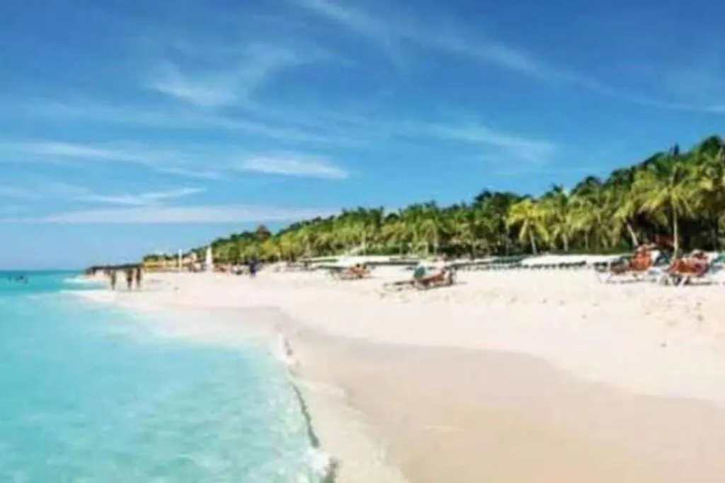 Real Ibiza Albaida II Playa Del Carmen contacts